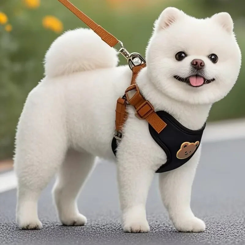 Breathable Dog Harness & Leash Set – Adjustable Puppy Vest for Small & Medium Dogs & Cats