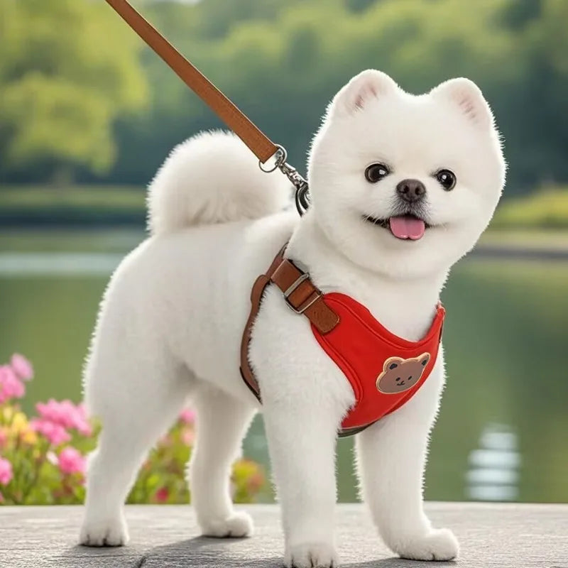 Breathable Dog Harness & Leash Set – Adjustable Puppy Vest for Small & Medium Dogs & Cats