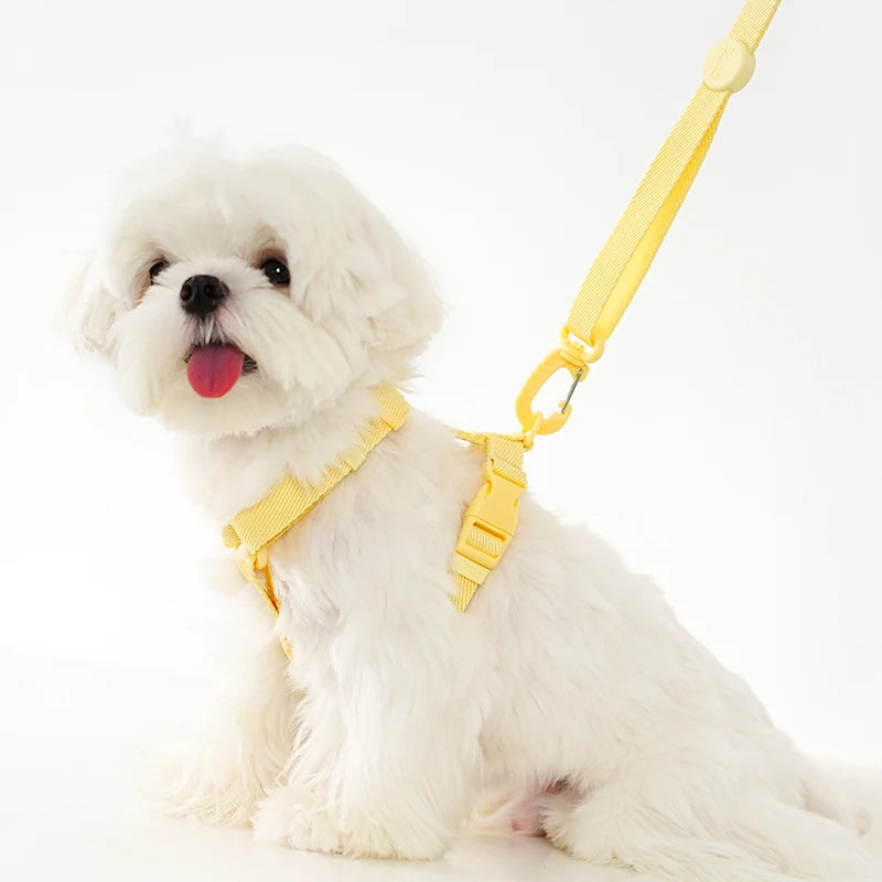 Macaron Color Dog Harness, Collar & Leash Set – Reflective Adjustable Vest for Puppies & Small Dogs