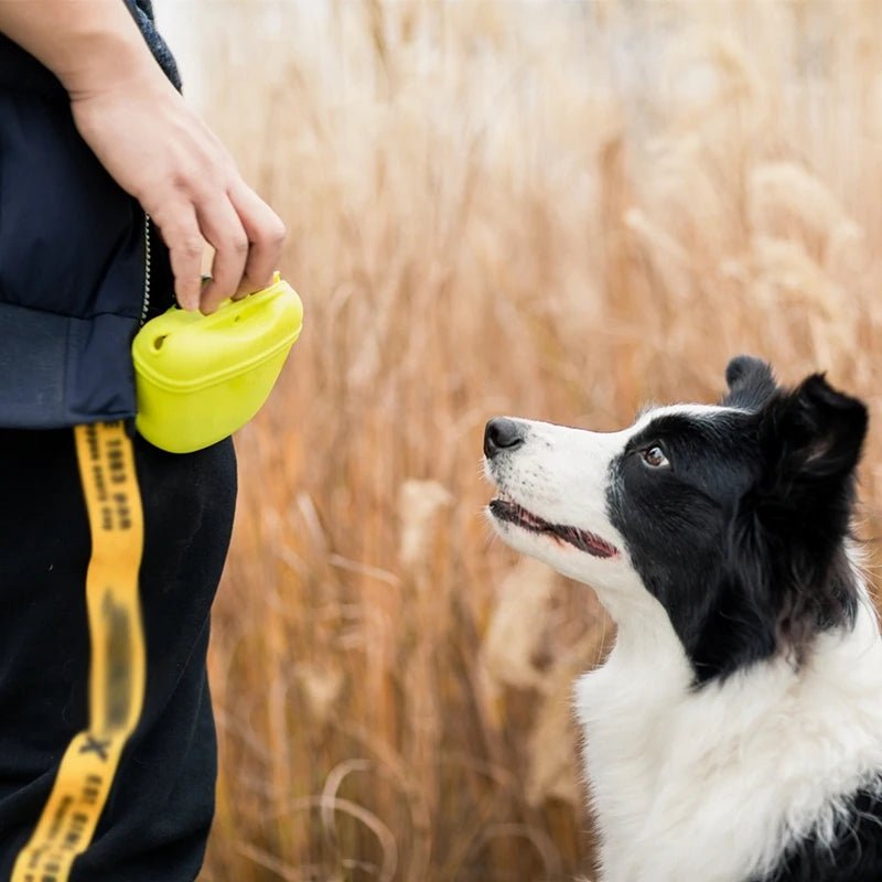 Portable Dog Training Treat Pouch – Silicone Waist Bag for Obedience, Agility & Outdoor Walking - Goodify Mart
