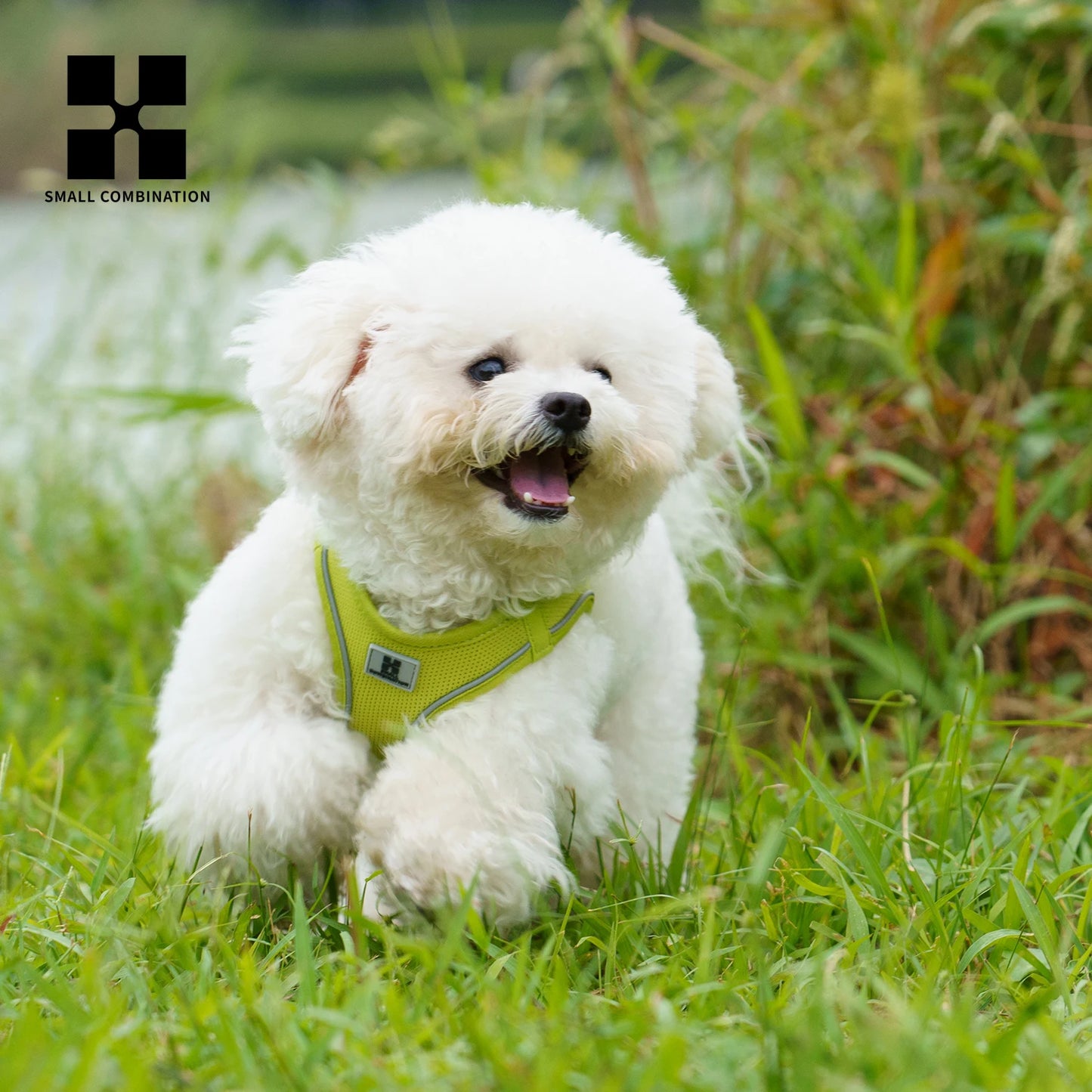 Reflective Dog Harness & Leash Set – Adjustable Step-In Vest for Small & Medium Dogs