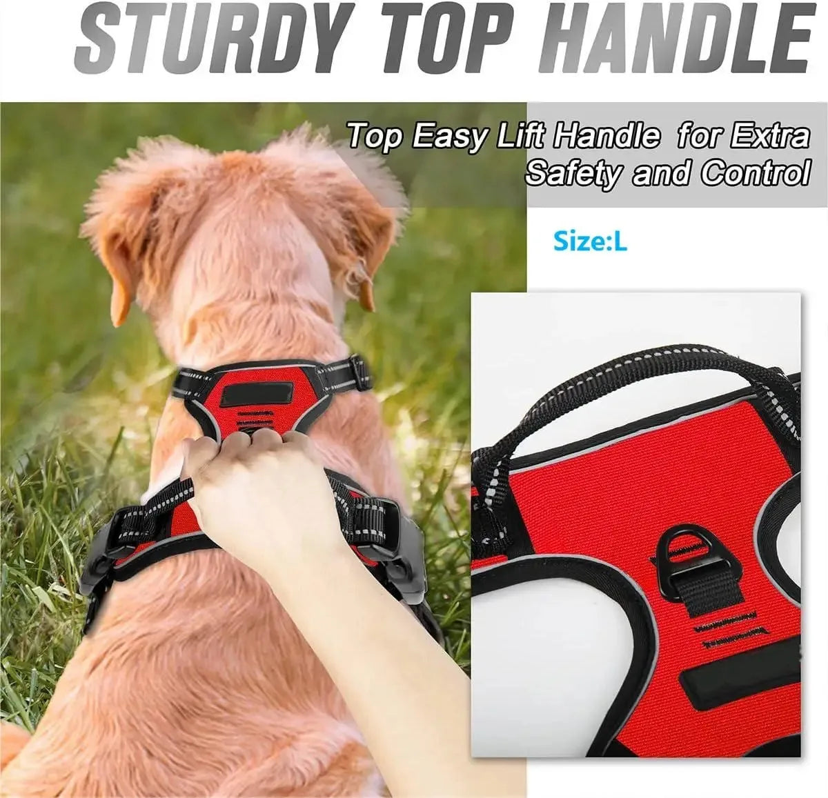Pet Dog Harness, Collar & Leash Set – Adjustable Vest Harness for Small & Medium Dogs