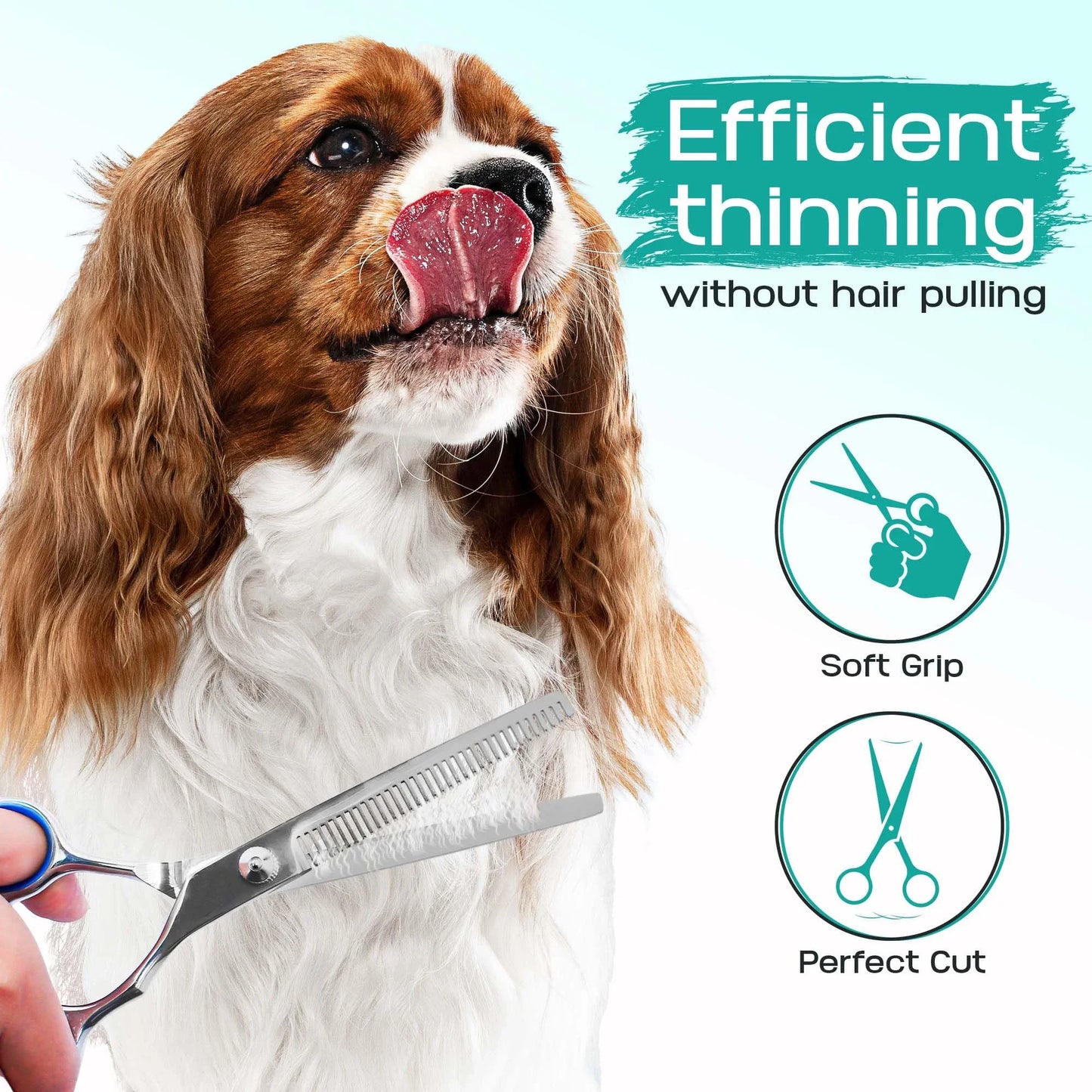 5PCS Pet Grooming Scissors Set – Stainless Steel Dog & Cat Hair Cutting Kit with Safety Round Tips