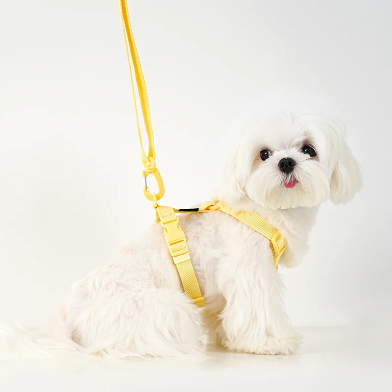 Macaron Color Dog Harness, Collar & Leash Set – Reflective Adjustable Vest for Puppies & Small Dogs