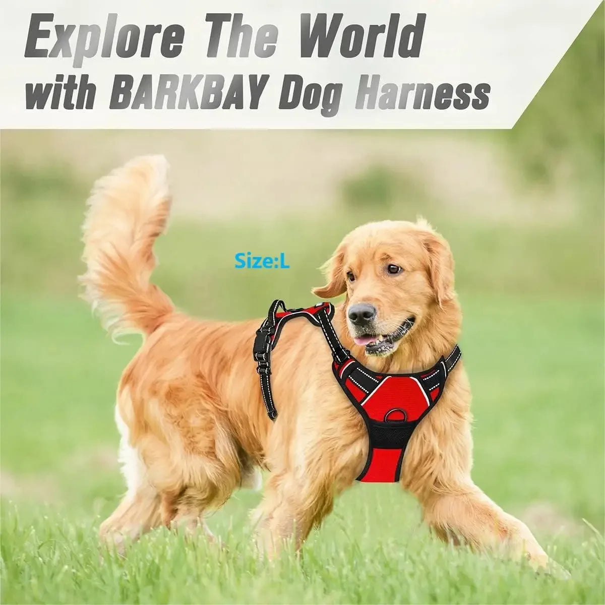 Pet Dog Harness, Collar & Leash Set – Adjustable Vest Harness for Small & Medium Dogs