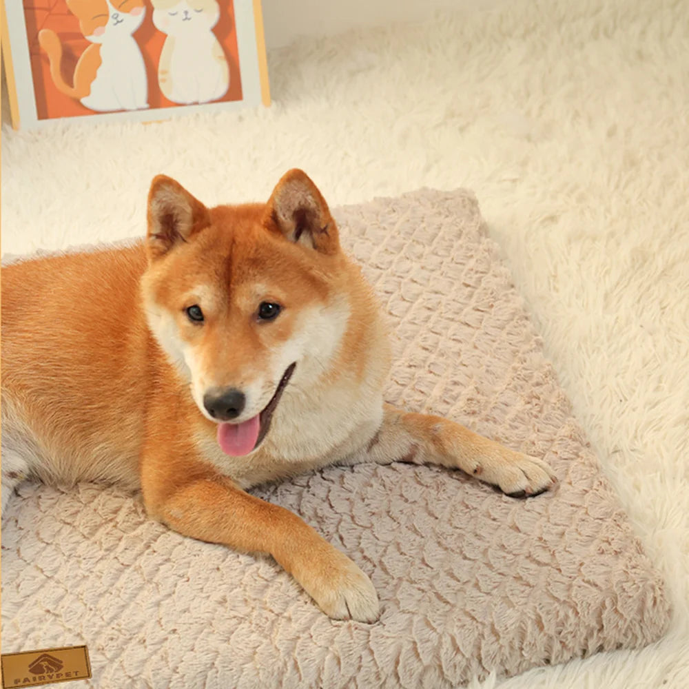 3D Foam Dog Bed With Washable Faux Fur Cover & Non-Slip Base