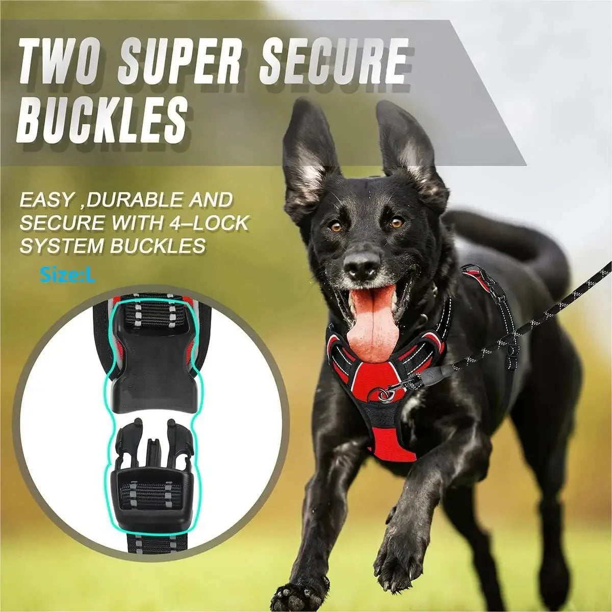 Pet Dog Harness, Collar & Leash Set – Adjustable Vest Harness for Small & Medium Dogs